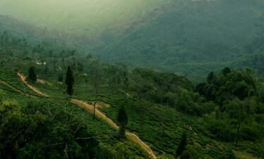 Darjeeling Tour Package