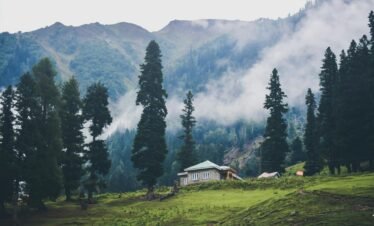 Kashmir Tour Package – 8 Days & 7 Nights